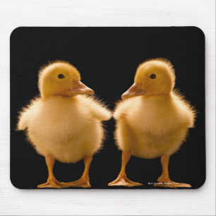 Mousepad Dois patinhos que olham um outro