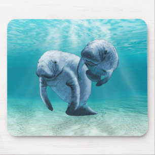 Mousepad Dois peixes-boi que nadam