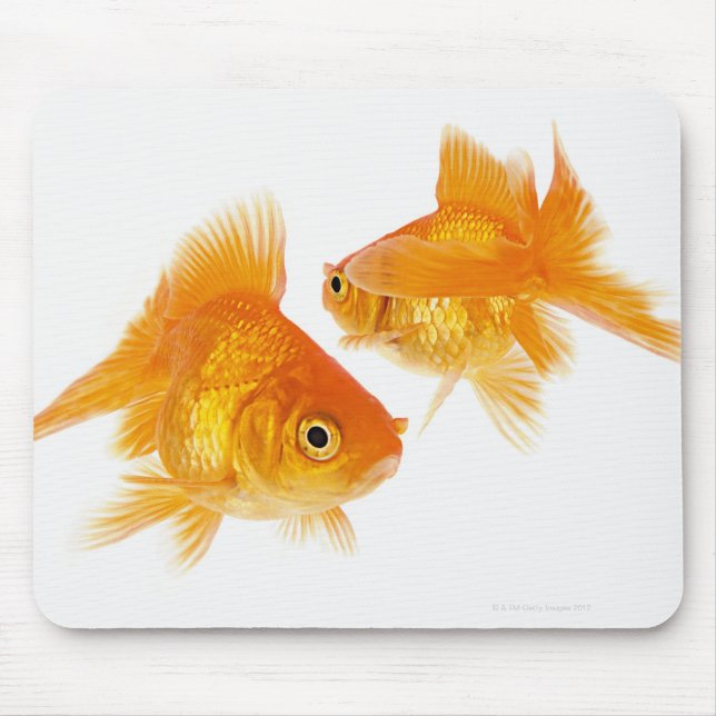 Mousepad Dois Peixes Dourados Cruzando Um Ao Outro (Frente)