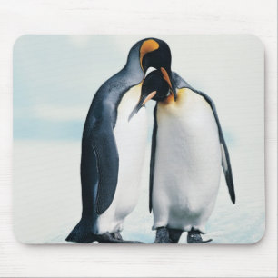 Mousepad Dois pinguins afectuosos