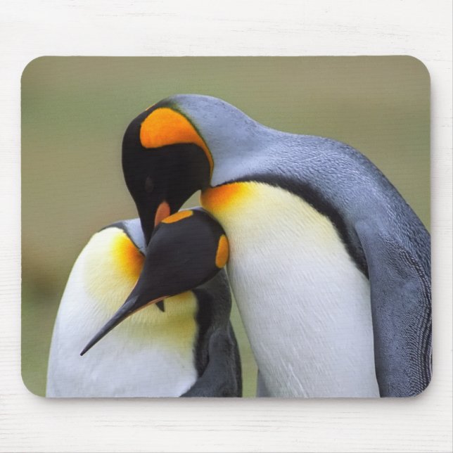 Mousepad Dois pinguins do amor (Frente)
