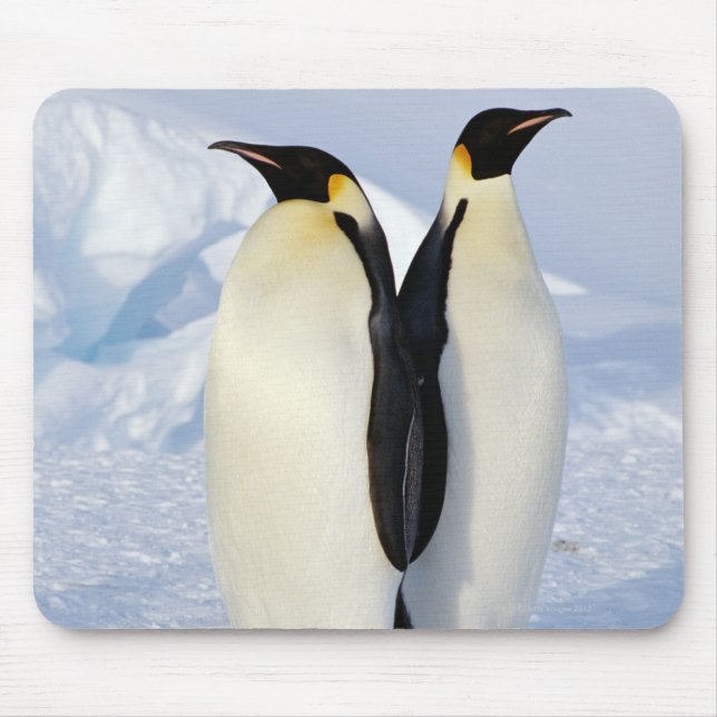 Mousepad Dois Pinguins Imperadores na Antártica (Frente)