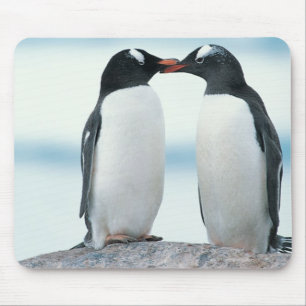 Mousepad Dois pinguins que tocam nos bicos