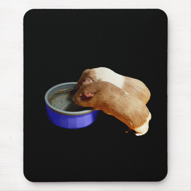 Mousepad Dois Porcos Castanhos E Guiné Branca, (Frente)