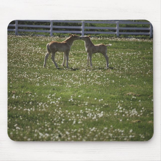Mousepad Dois potes no campo (Frente)