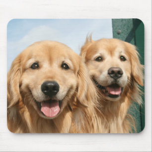 Mousepad Dois Retrievers dourados de sorriso