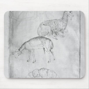 Mousepad Dois tartarugas, cabras e carneiros