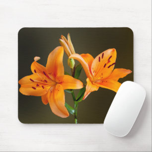 Mousepad Dois tigre alaranjado Lillies e fotografia dos