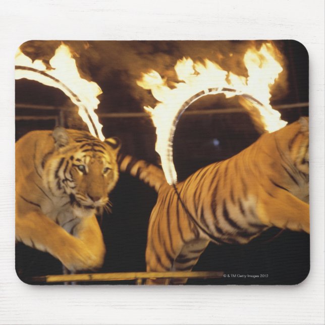 Mousepad Dois tigres saltando por anéis de fogo queimados (Frente)