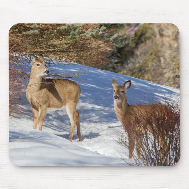 Mousepad Dois veados de cauda branca no inverno (Frente)