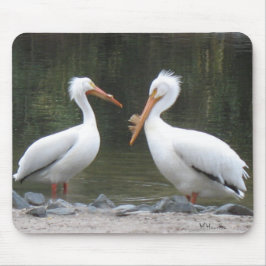Mousepad Dois velhos amigos pelicanos