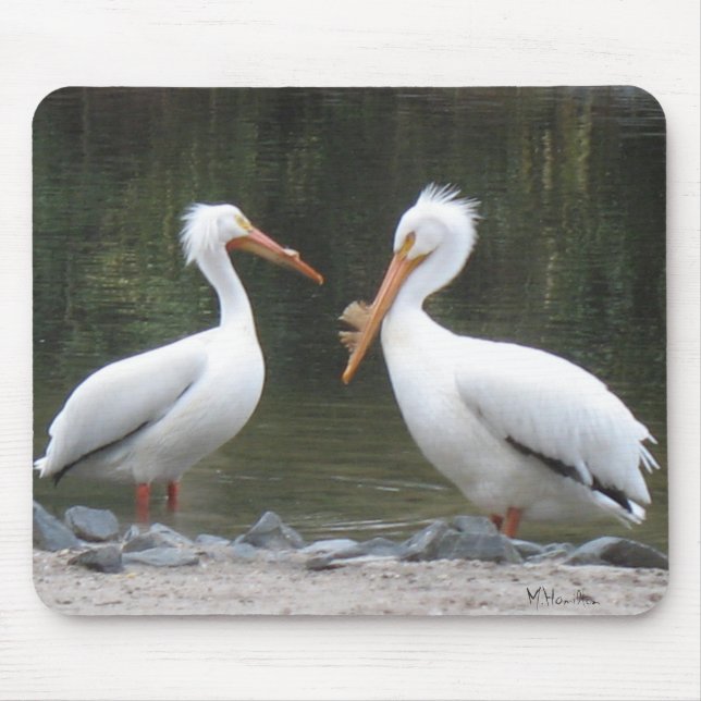 Mousepad Dois velhos amigos pelicanos (Frente)