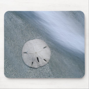 Mousepad Dólar-da-praia na Praia Ilha de Sanibel, Flórida