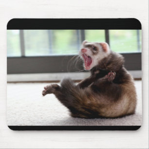 Mousepad doninha
