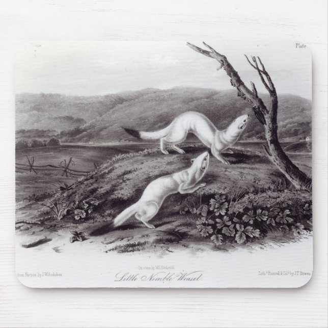 Mousepad Doninhas rigoroso pequena (Frente)