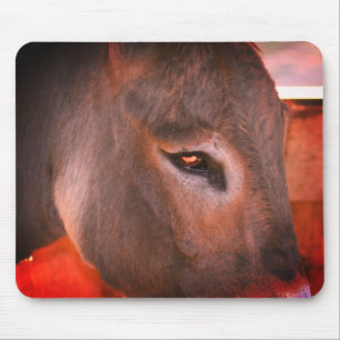 Mousepad Donkey Thoughts