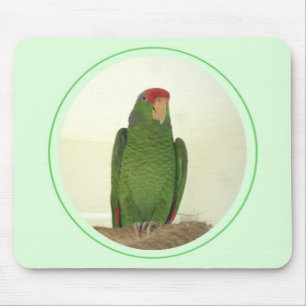 Mousepad Dooley 1