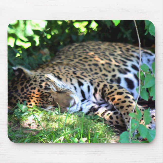Mousepad Dormindo Jaguar (Frente)