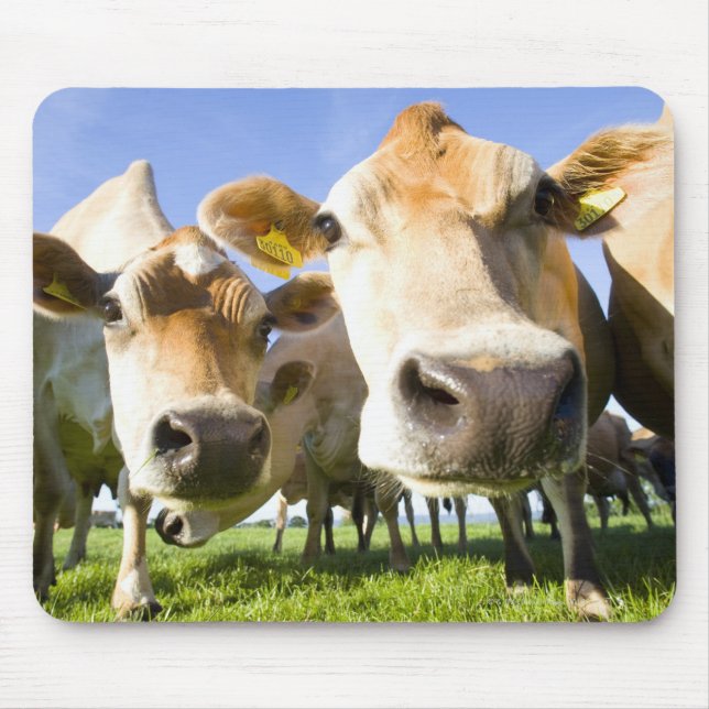 Mousepad Dorset, Reino Unido (Frente)