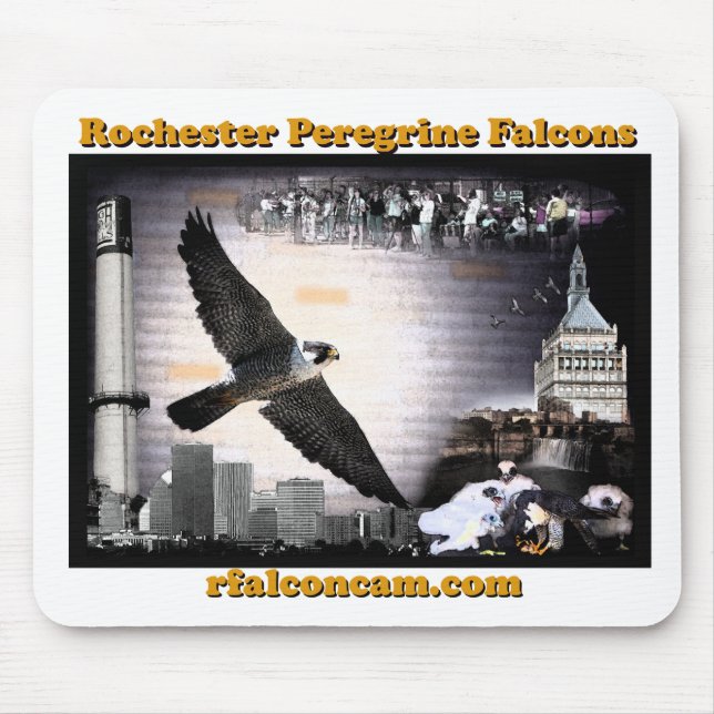 Mousepad dos falcões de Rochester (Frente)