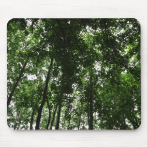 Mousepad Dossel 01 da floresta