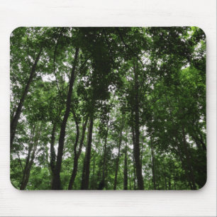 Mousepad Dossel 02 da floresta