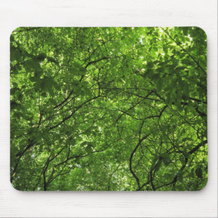 Mousepad Dossel da floresta