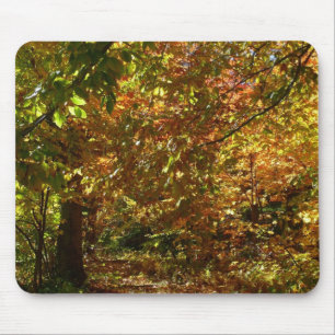 Mousepad Dossel de Folhas de Outono II Fotografia do Outono