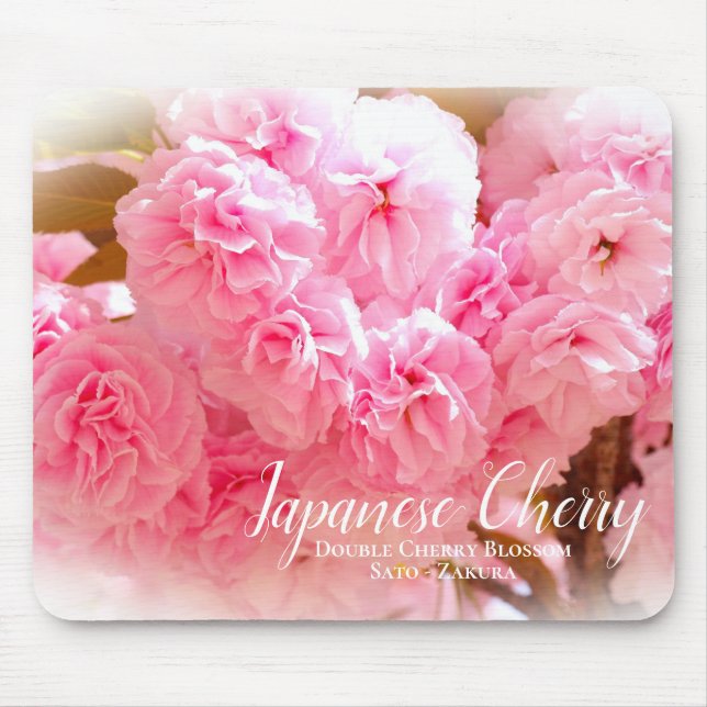 Mousepad Double Cherry Blossom: Sato-zakura (Frente)