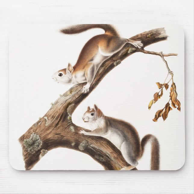 Mousepad Downy Brown Squirrel House (Frente)