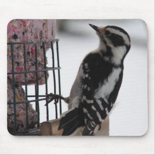 Mousepad Downy Woodpecker
