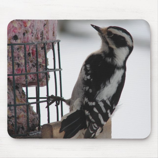 Mousepad Downy Woodpecker (Frente)