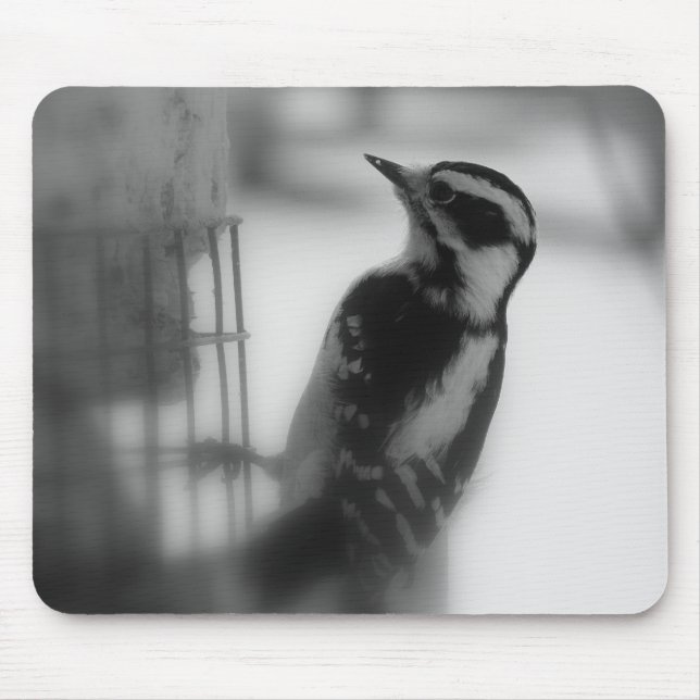 Mousepad Downy Woodpecker (Frente)