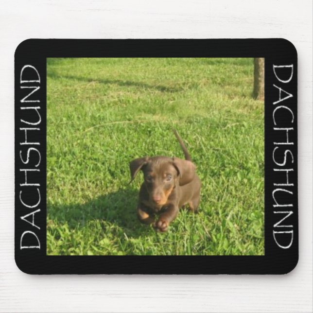 Mousepad Doxie de funcionamento (Frente)