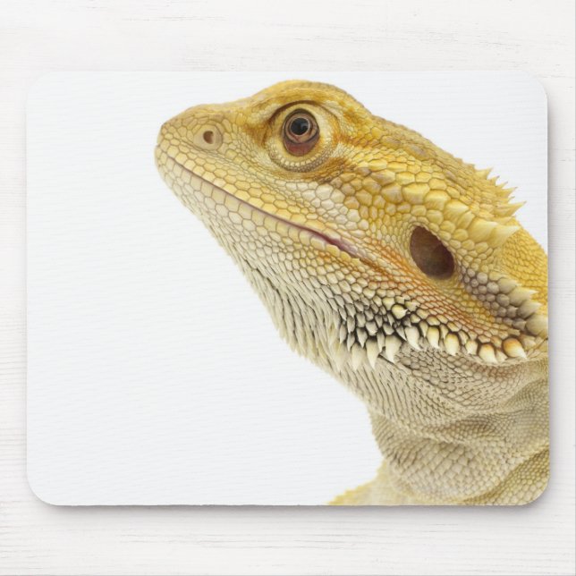 Mousepad Dragão barbudo (Pogona Vitticeps) (Frente)