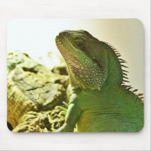 Mousepad Dragão de água chinês