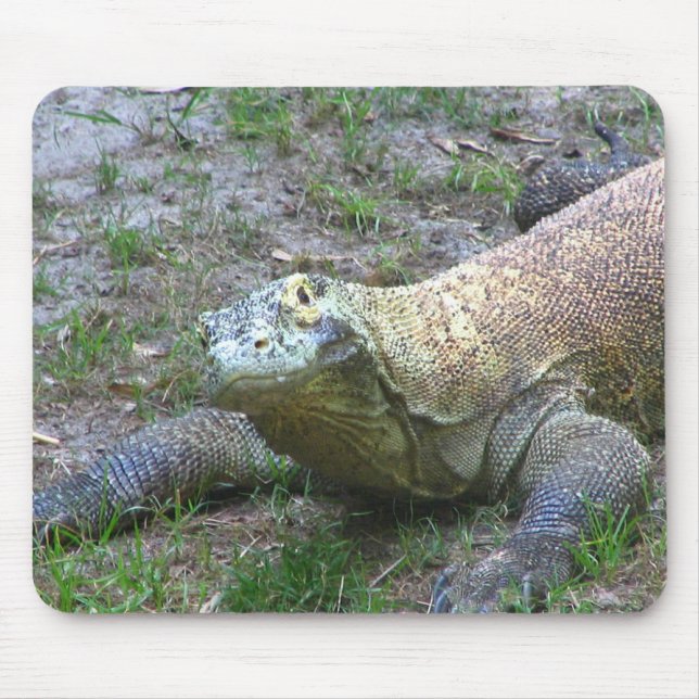 Mousepad Dragão de Komodo (Frente)