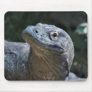 Mousepad Dragão de Komodo