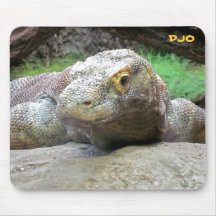 Dragão de Komodo grande