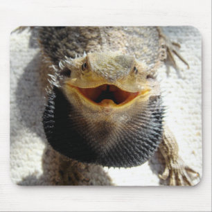 Mousepad Dragão farpado oriental - barbata de Pogona