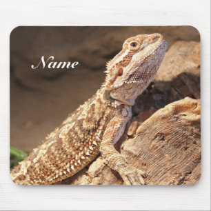Mousepad Dragão Personalizado De Bebê