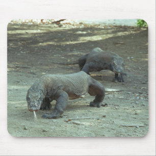 Mousepad Dragões de Komodo
