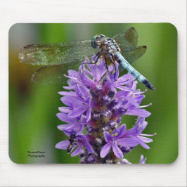 Mousepad Dragonfly 2