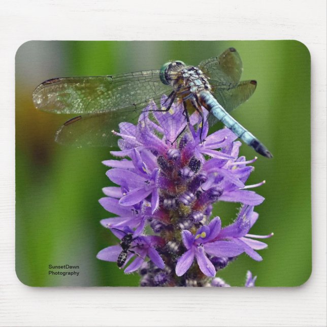 Mousepad Dragonfly 2 (Frente)