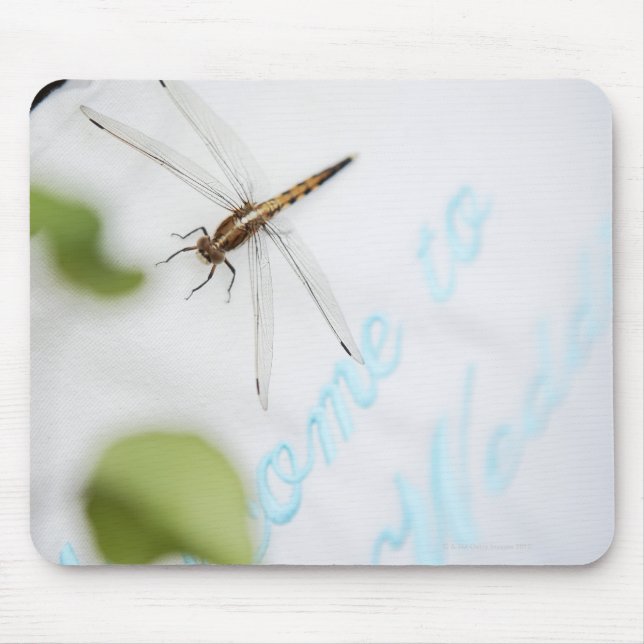 Mousepad Dragonfly 4 (Frente)