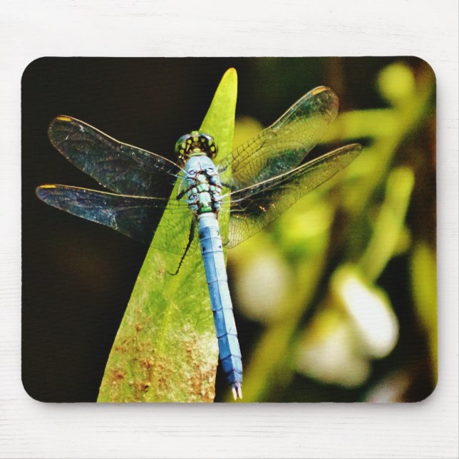 Mousepad Dragonfly Azul (Frente)