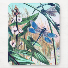 Mousepad Dragonfly Azul na ilustração da safra da lagoa
