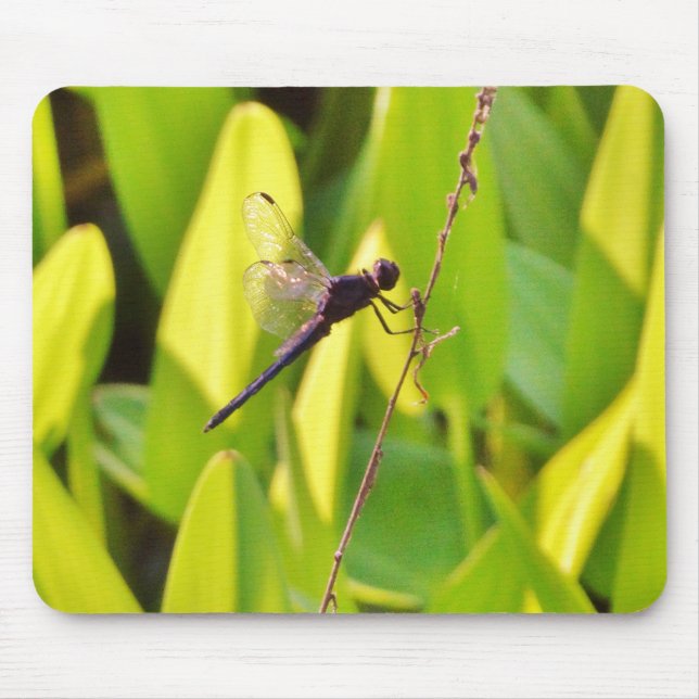 Mousepad Dragonfly Blue e preto na grama. (Frente)