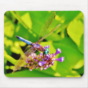 Mousepad Dragonfly de cor arco-íris numa flor rosa púrpura