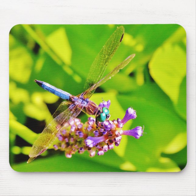 Mousepad Dragonfly de cor arco-íris numa flor rosa púrpura (Frente)